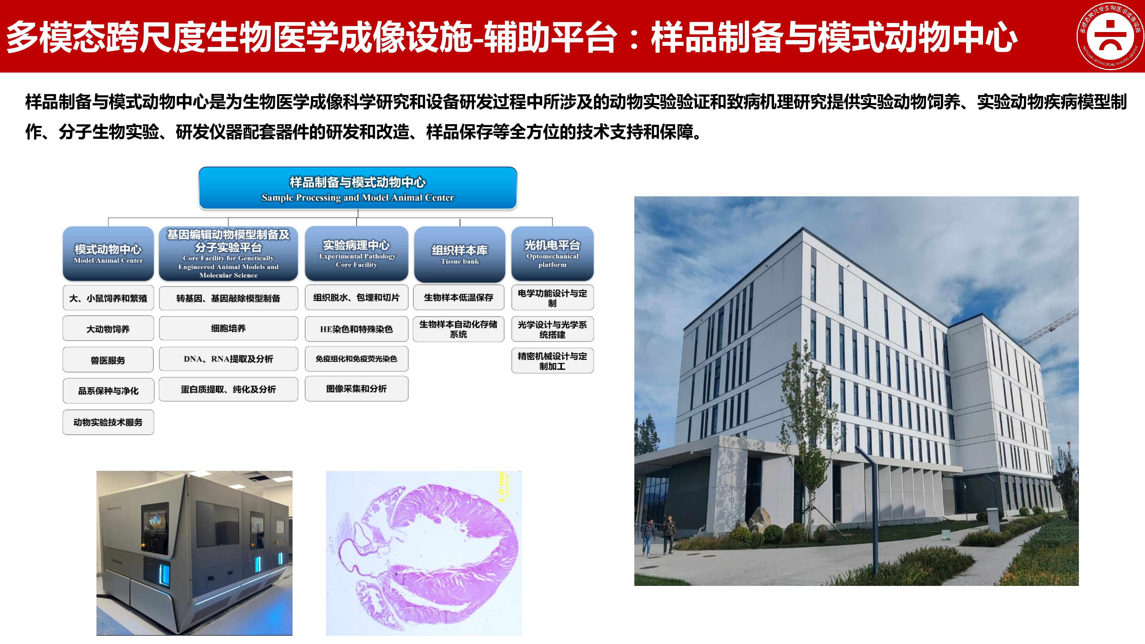 cc40bdac-c371-4b8b-b486-526c4c6636fd-0.jpg